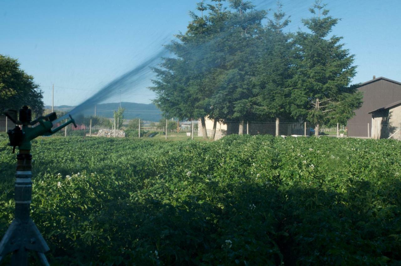 קמיליאטלו סילאנו Agriturismo Fiorella מראה חיצוני תמונה