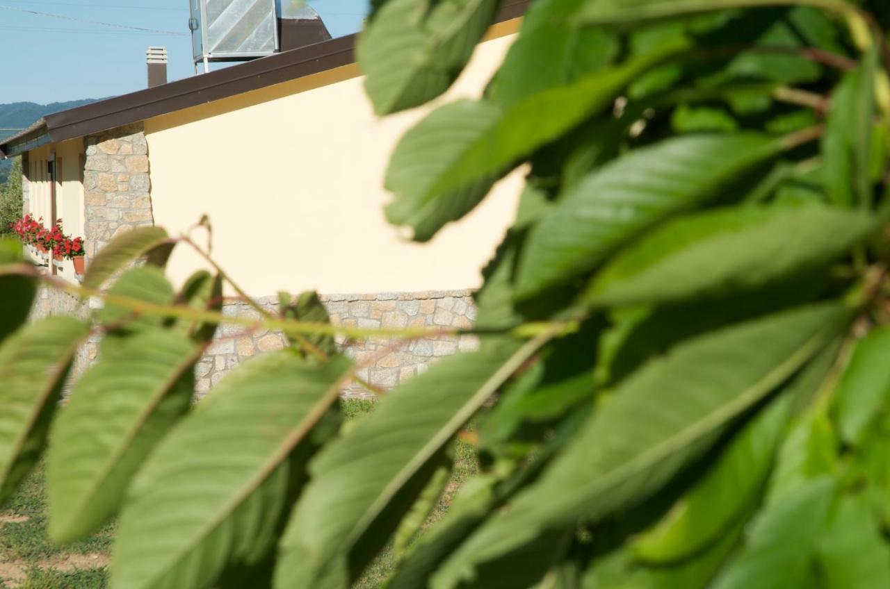 קמיליאטלו סילאנו Agriturismo Fiorella מראה חיצוני תמונה