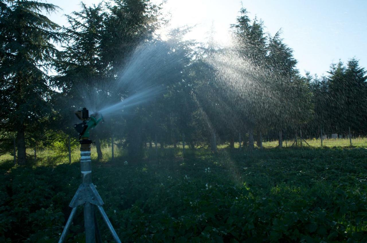קמיליאטלו סילאנו Agriturismo Fiorella מראה חיצוני תמונה