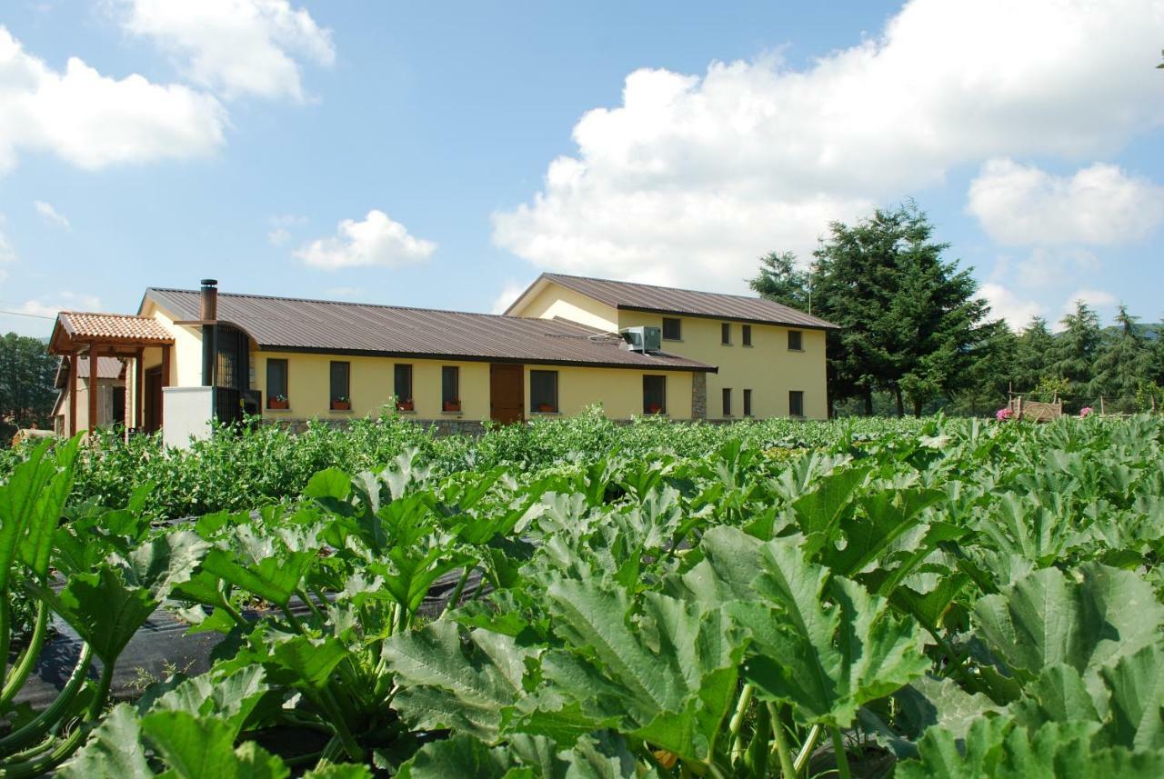 קמיליאטלו סילאנו Agriturismo Fiorella מראה חיצוני תמונה