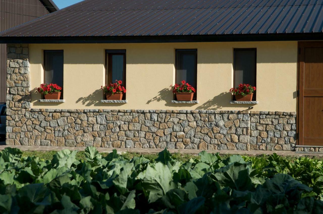 קמיליאטלו סילאנו Agriturismo Fiorella מראה חיצוני תמונה