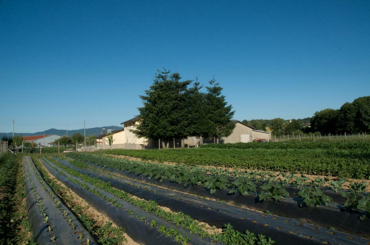 קמיליאטלו סילאנו Agriturismo Fiorella מראה חיצוני תמונה