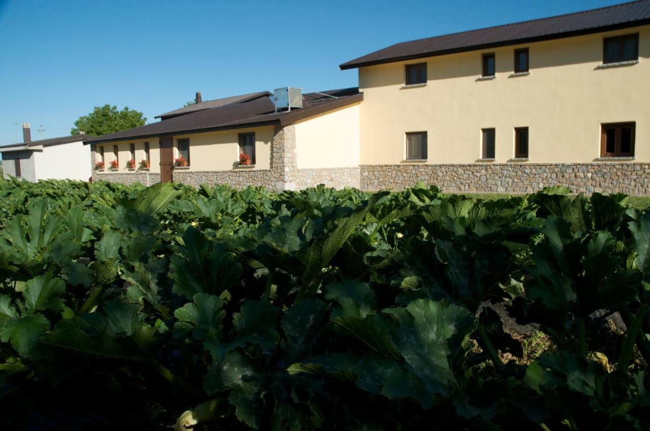 קמיליאטלו סילאנו Agriturismo Fiorella מראה חיצוני תמונה