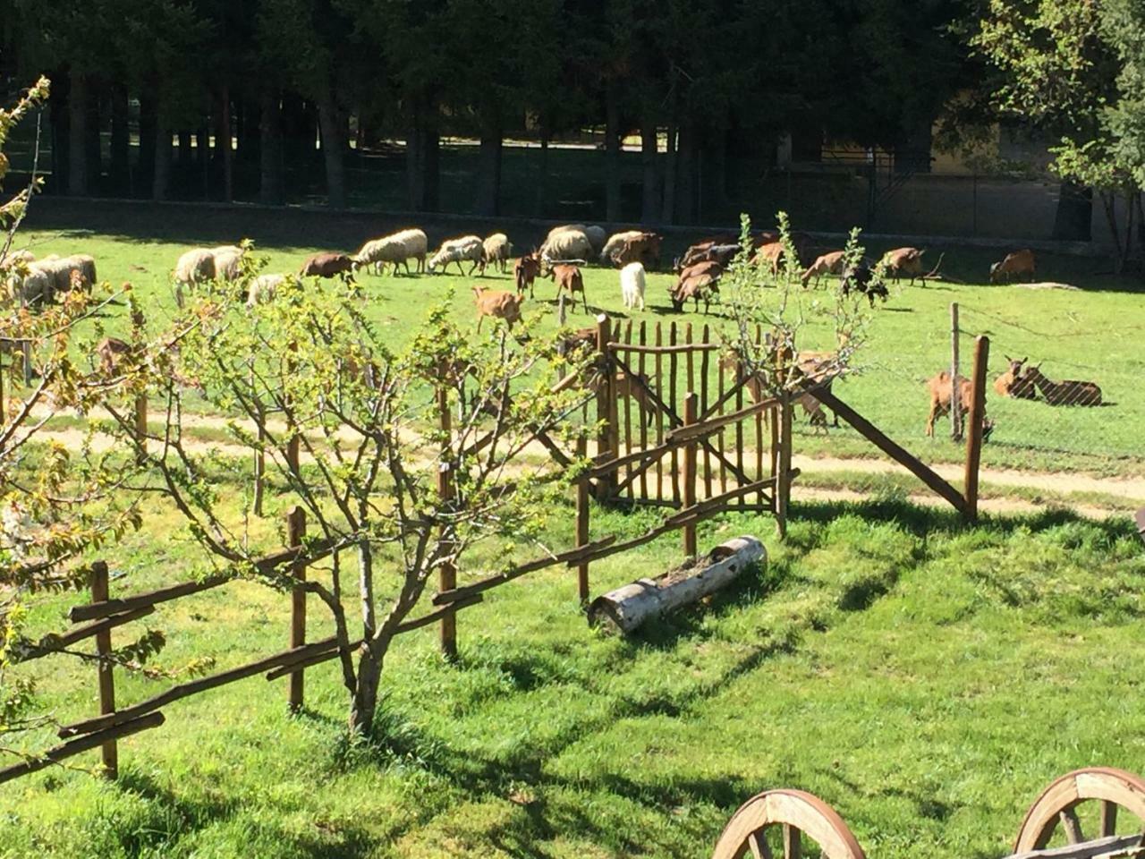 קמיליאטלו סילאנו Agriturismo Fiorella מראה חיצוני תמונה