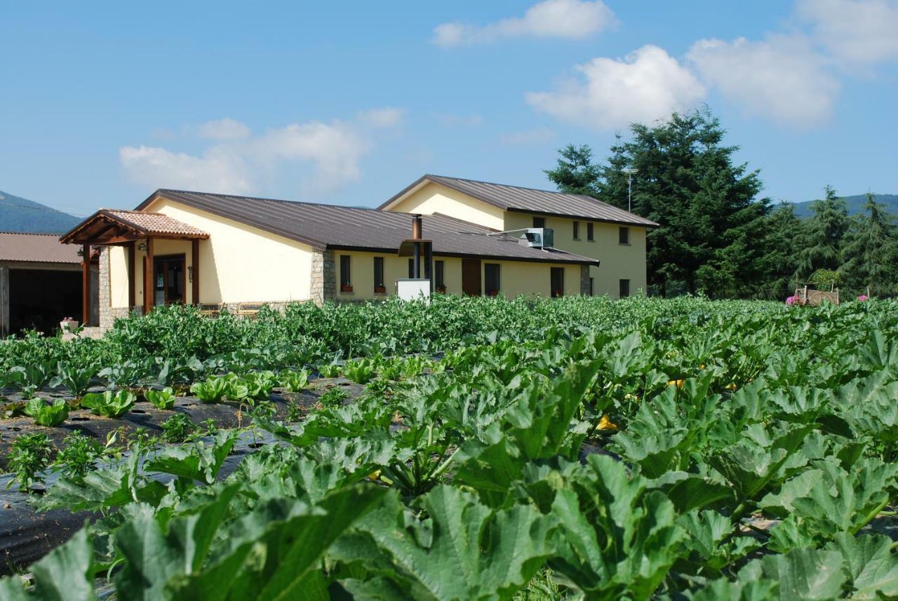קמיליאטלו סילאנו Agriturismo Fiorella מראה חיצוני תמונה